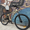Bicicleta Eclipse 29" 18" BEIGE 