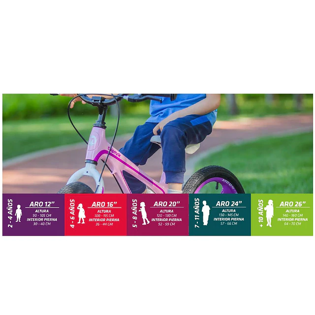 Bicicleta Royal Baby Chipmunk Explorer Disc 20" 