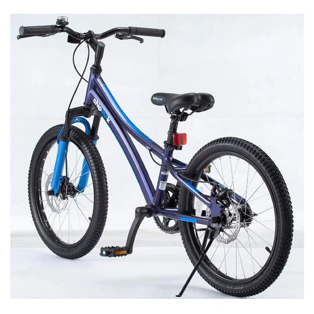 Bicicleta Royal Baby Chipmunk Explorer Disc 20" 