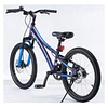 Bicicleta Royal Baby Chipmunk Explorer Disc 20" 