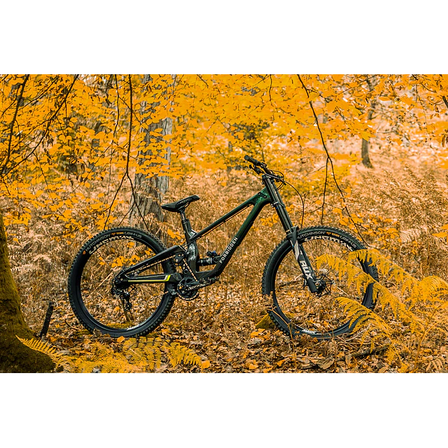 Cuadro FORBIDDEN SUPERNOUGHT VOL.4 Bri'ish Racing Green.