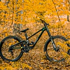 Cuadro FORBIDDEN SUPERNOUGHT VOL.4 Bri'ish Racing Green.