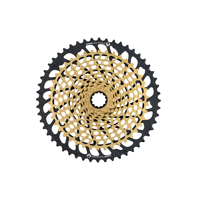 Piñón XD Eagle XX1 X-Glide 2 X-Dome B1 XG1299 10-52T GOLD