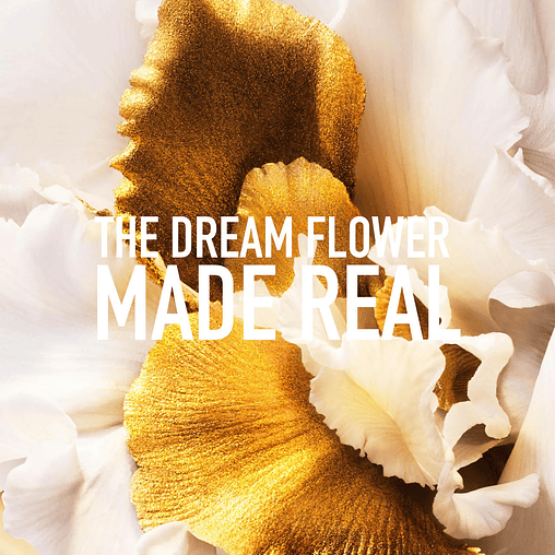 Dior J'adore – Eau de Parfum 100ml 5