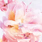 Miss Dior Blooming Bouquet 100 ml - formato tester (Caja Blanca)  - Miniatura 2