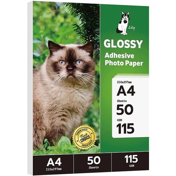 Adhesivo Glossy 115g Lily 1