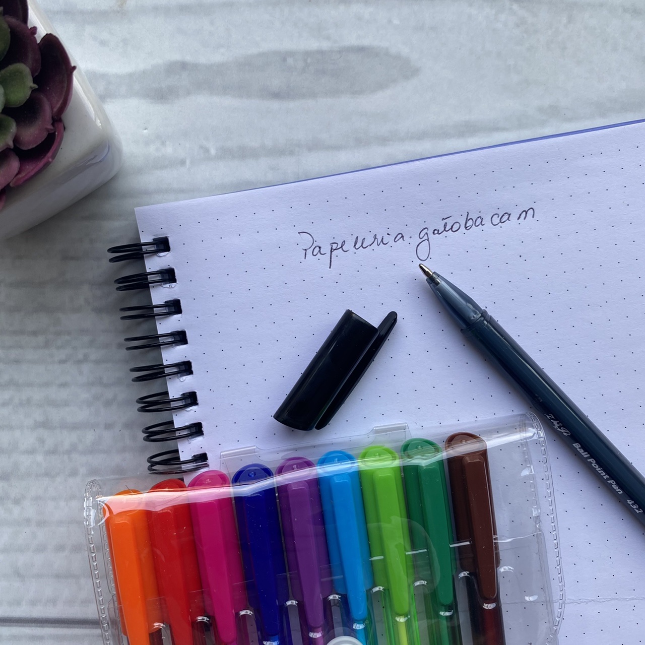 Set bolígrafos pasta 10 colores