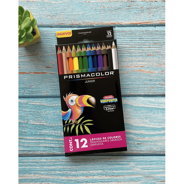 LAPICES 12 COLORES JUNIOR PRISMACOLOR