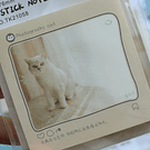 Notitas adhesivas Photography Cat
