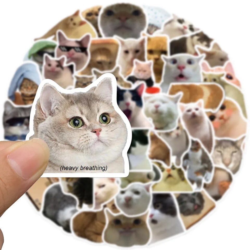 Set 50 stickers memes de gatito