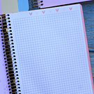 Cuaderno 1/2 oficio diseño Chic