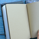 Libreta Ilustrada diseño Vincent Van Gogh