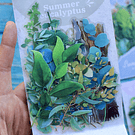 Set 30 Stickers florales 