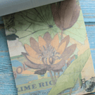 Libro de stickers y papel decorativo