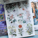 Libro de stickers y papel decorativo