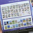 Libro de stickers y papel decorativo