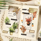Set 20 Pegatinas Plantas