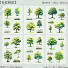 Stickers Arbol de las estaciones