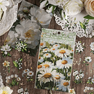 Set 4 laminas de Stickers diseños Floreados