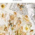 Set 30 stickers diseño Mini Hadita