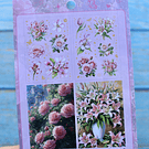 Set 4 laminas de Stickers diseños Floreados