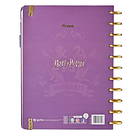 Cuaderno Tamaño carta discos Harry Potter 100 hojas recargable