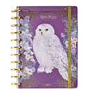 Cuaderno Tamaño carta discos Harry Potter 100 hojas recargable