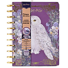 Cuaderno Tamaño carta discos Harry Potter 100 hojas recargable