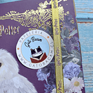 Cuaderno Tamaño carta discos Harry Potter 100 hojas recargable