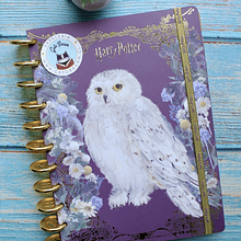 Cuaderno Tamaño carta discos Harry Potter 100 hojas recargable