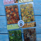 Set de Stickers Otoñales