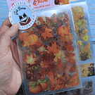 Set de Stickers Otoñales