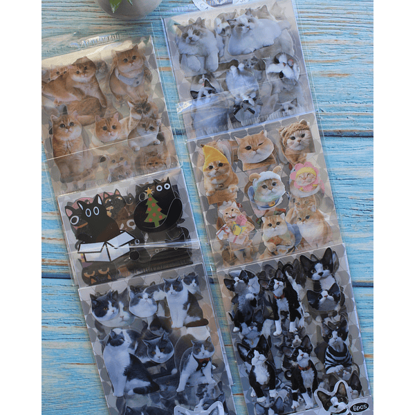 Set de Stickers Gatito