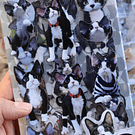 Set de Stickers Gatito