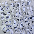 Set de Stickers Gatito