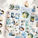 Cajita de Stickers gatitos Kawaii