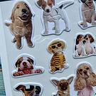 Stickers Perrito 3 D