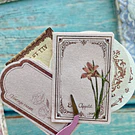 Set de decoracion 100 piezas