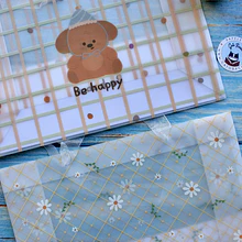 Bolsa de Regalo horizontal transparente 