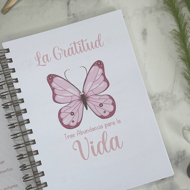 DIARIO DE GRATITUD