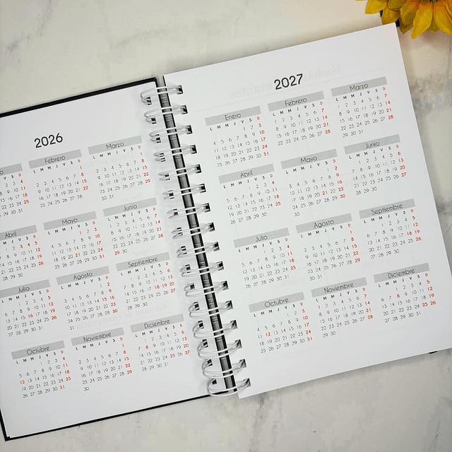 AGENDA FECHADA 2026 GRIS