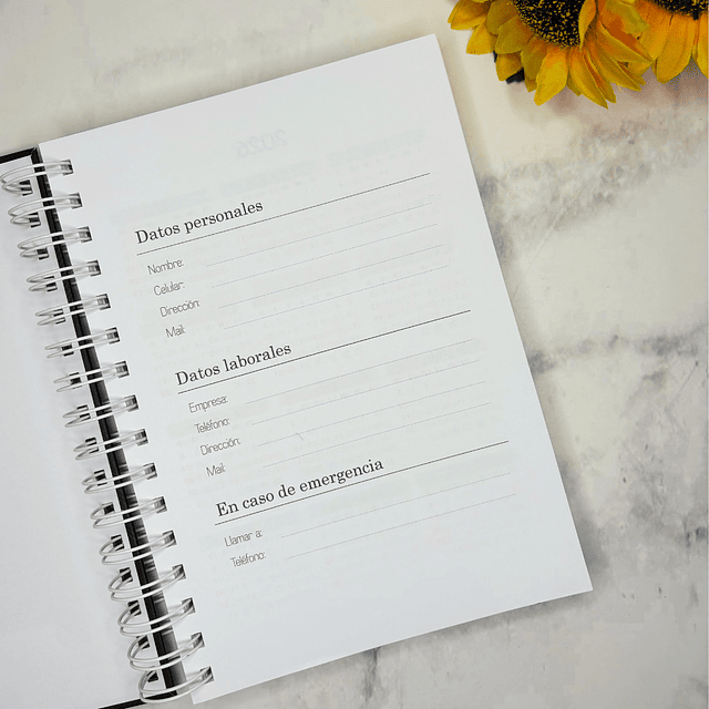 AGENDA FECHADA 2026 GRIS