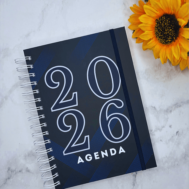 AGENDA FECHADA 2026 GRIS