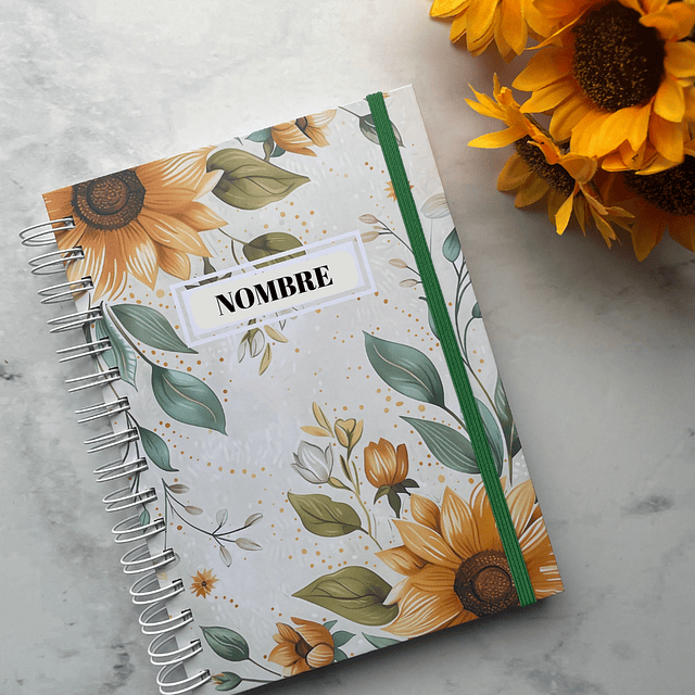 AGENDA FECHADA 2026 GRIS