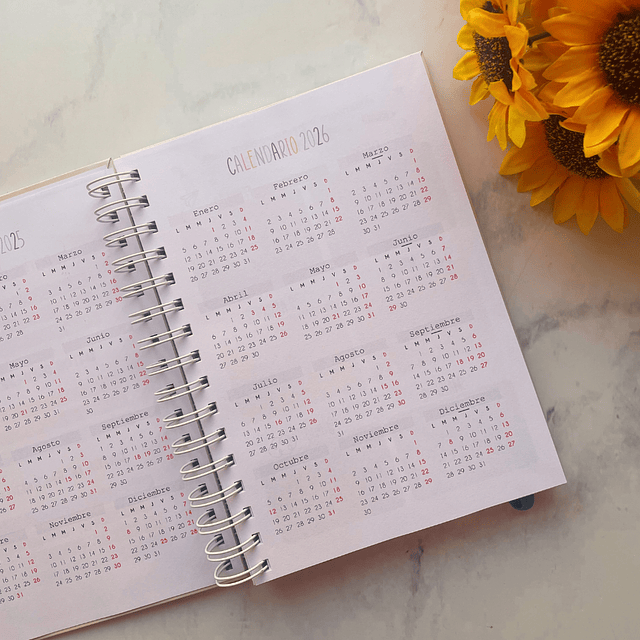 PLANNER TECNICO EN PÁRVULO