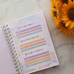 PLANNER TECNICO EN PÁRVULO