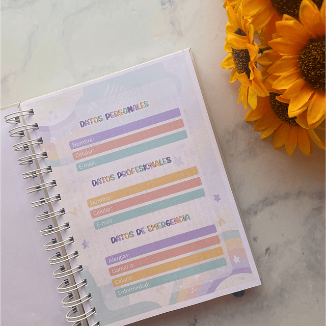 PLANNER TECNICO EN PÁRVULO