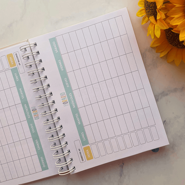 PLANNER TECNICO EN PÁRVULO