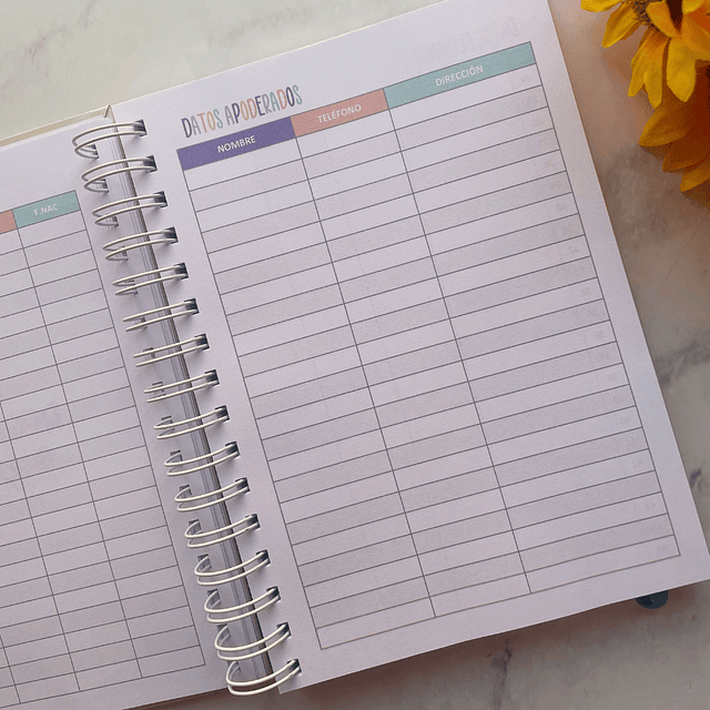 PLANNER TECNICO EN PÁRVULO