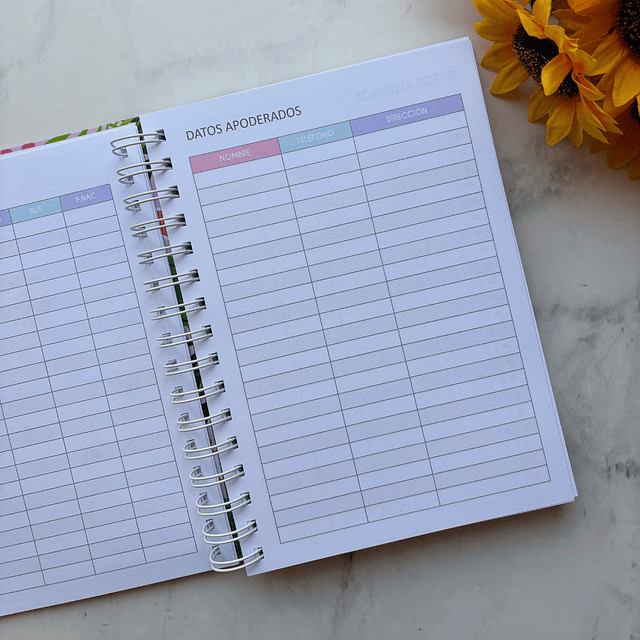 PLANNER EDUCADORA PÁRVULO